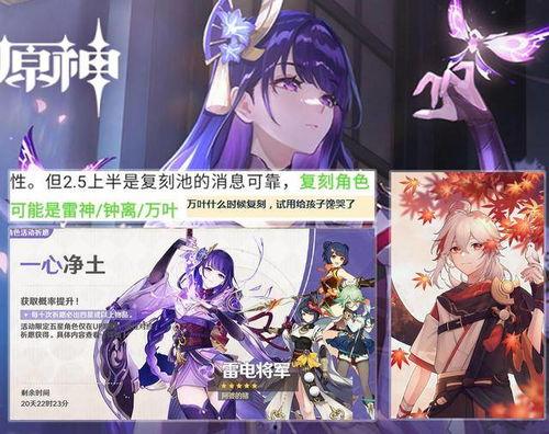 最新爆料雷电将军是谁,揭秘背后惊人真相